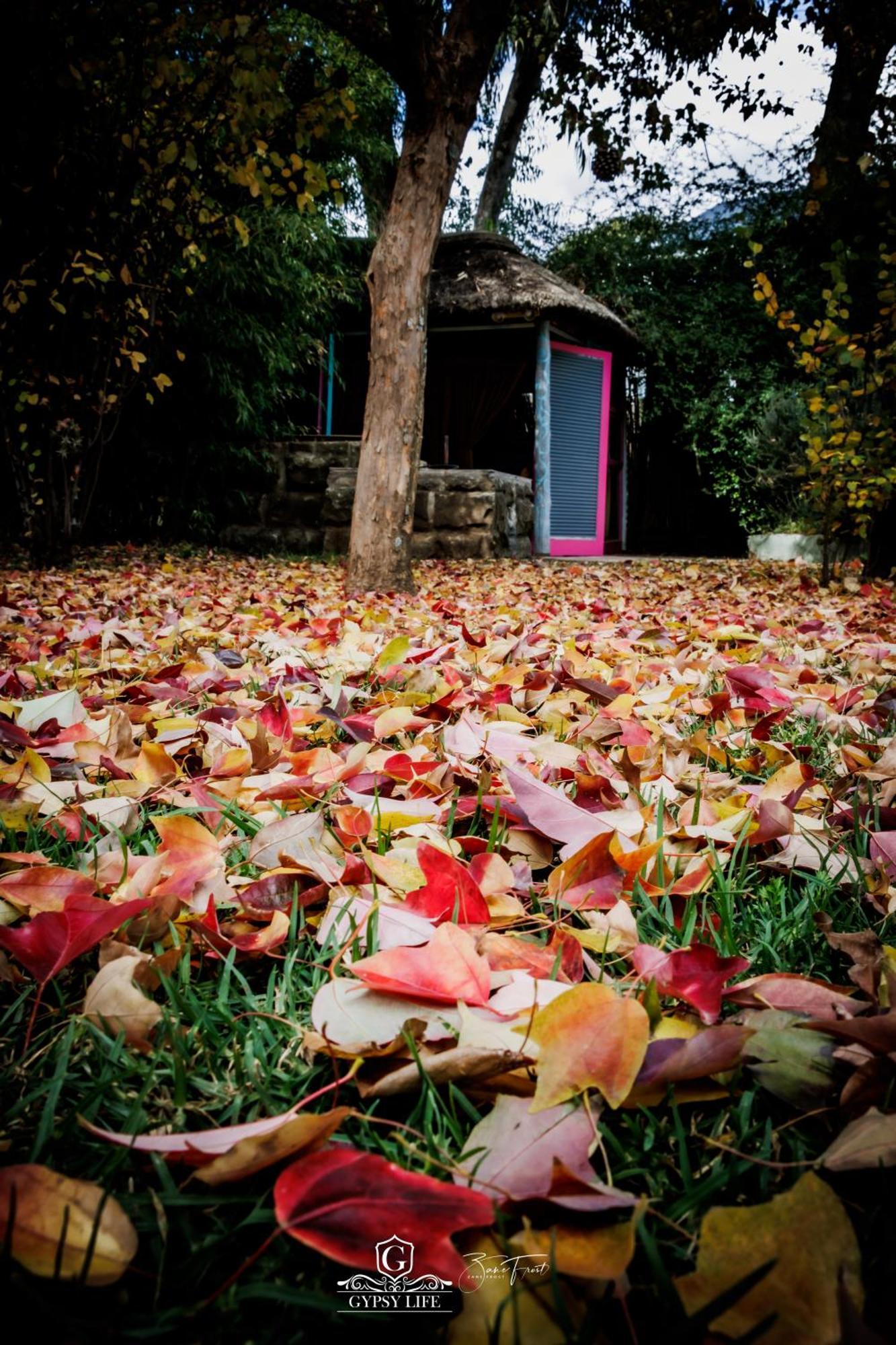 Gypsy Guest House Clarens Extérieur photo